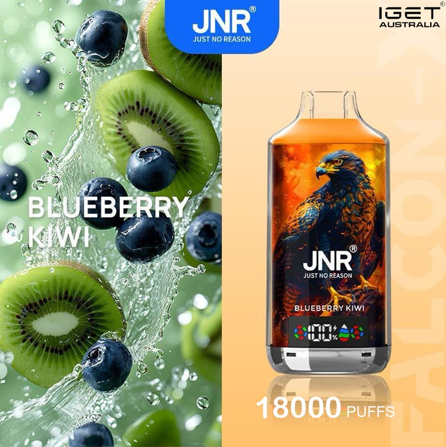 JNR FALCON -X BLUEBERRY KIWI – 18000 PUFFS